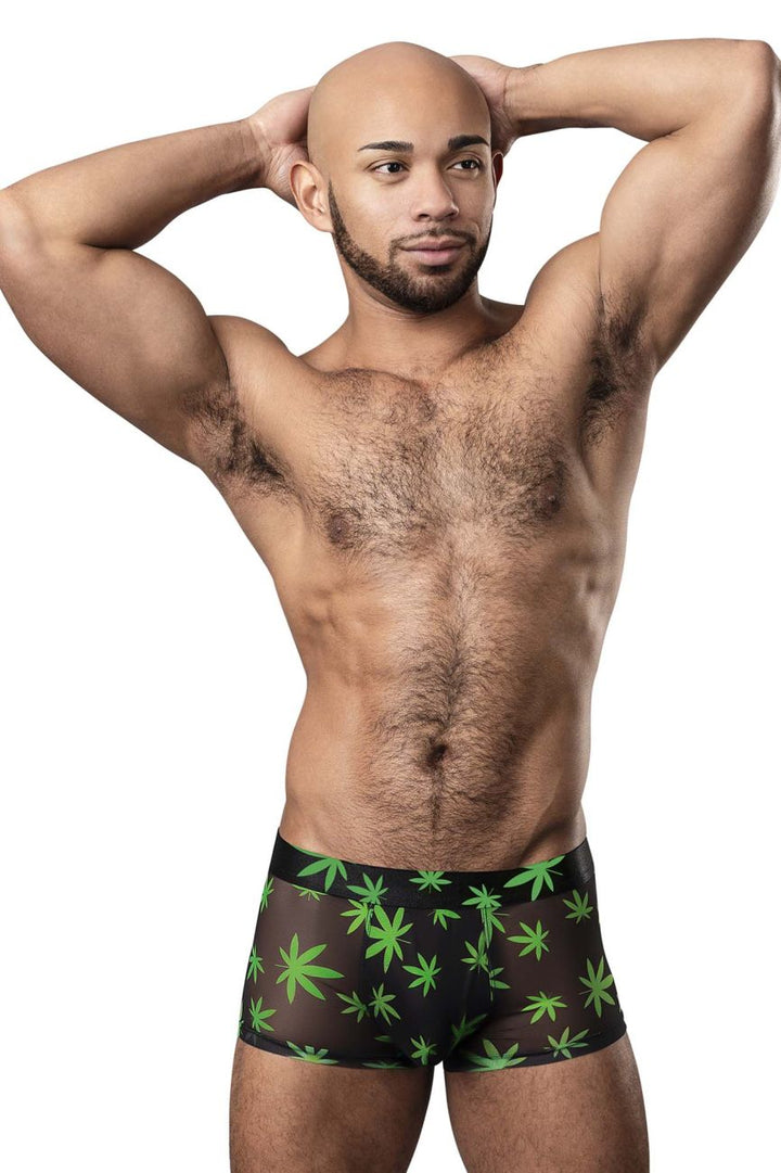 Male Power 145-294 Hazy Dayz Pouch Short Men's Trunk Underwear in Pot Leaf – men's trunks