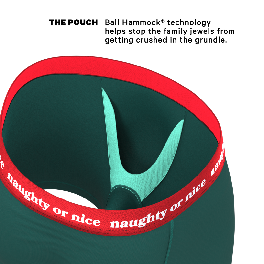 Shinesty "The Nice List" Flirty Waistband Ball Hammock® Pouch Boxer Briefs (No Fly)