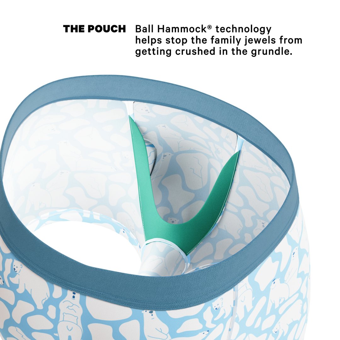 Shinesty Men's Ball Hammock Pouch Trunks - Polar Bear Print MicroModal Moisture Wicking Underwear, The Polar Polka