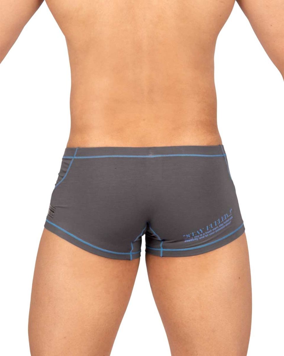 Private Structure Prime Elysian Hipster Men's Trunk Underwear in Gray – men's trunks