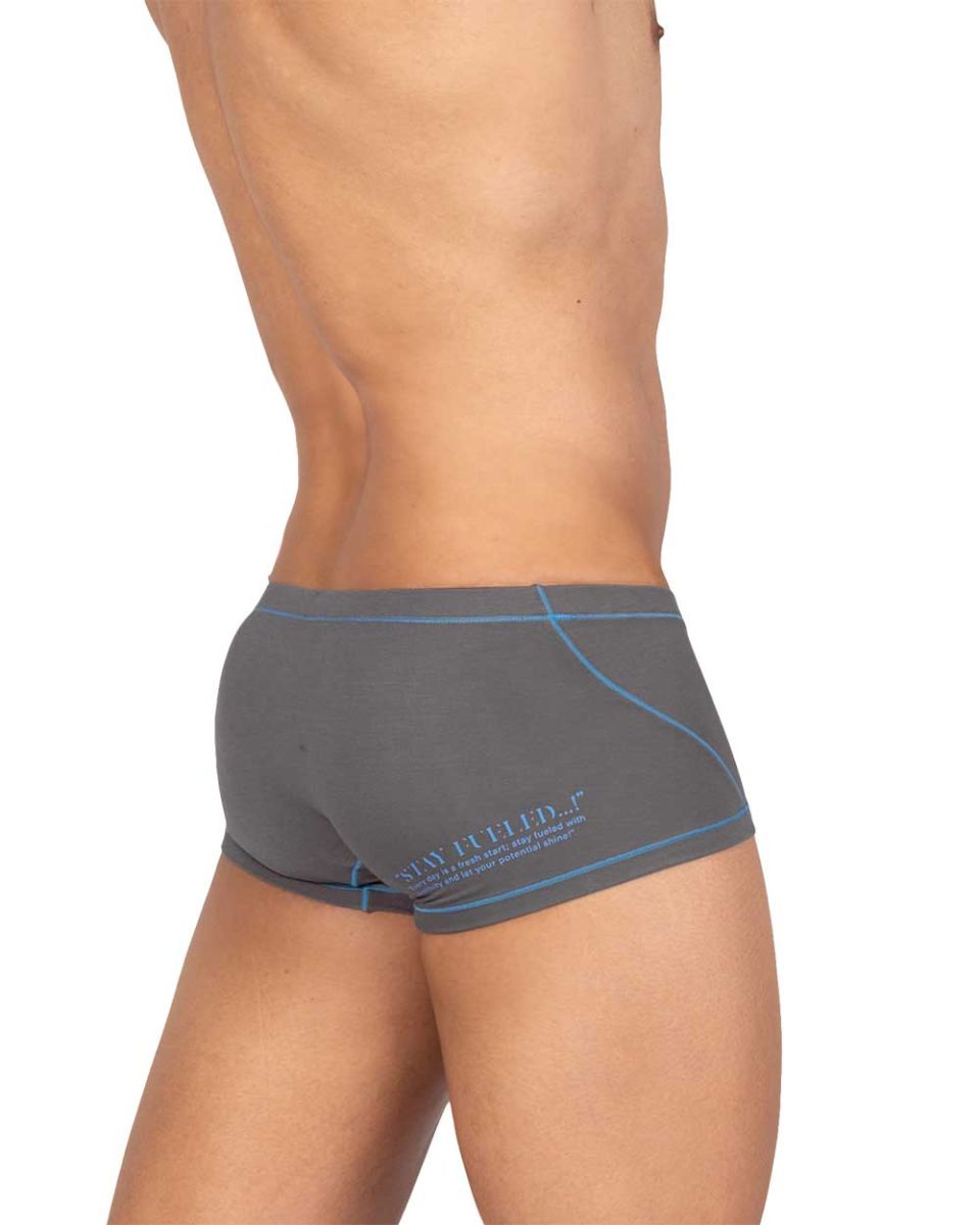 Private Structure Prime Elysian Hipster Men's Trunk Underwear in Gray – men's trunks