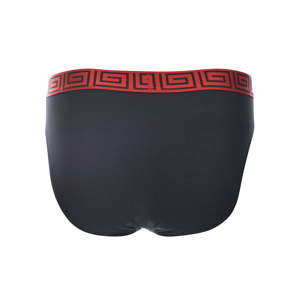 SHEATH Dual Pouch Euro Briefs | Modal Fabric, Classic Style & Superior Support