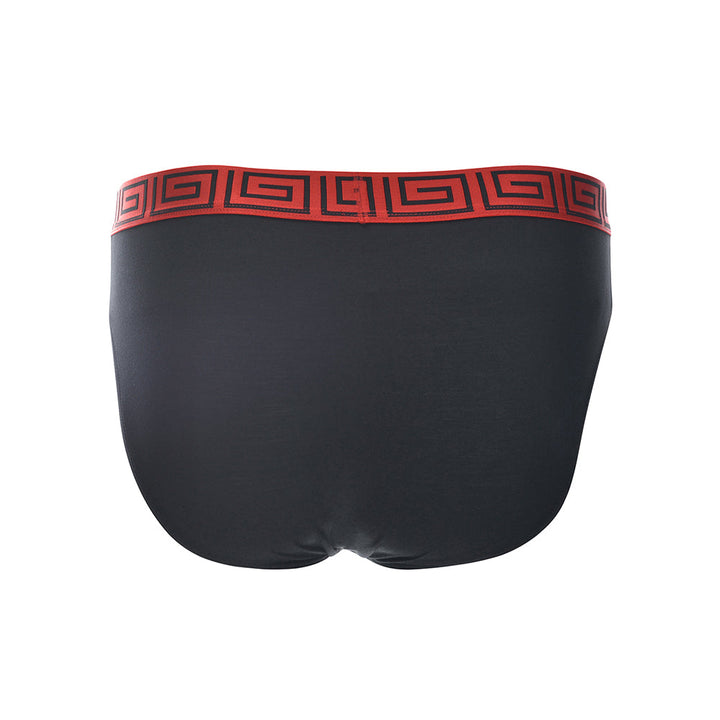 SHEATH Dual Pouch Euro Briefs | Modal Fabric, Classic Style & Superior Support