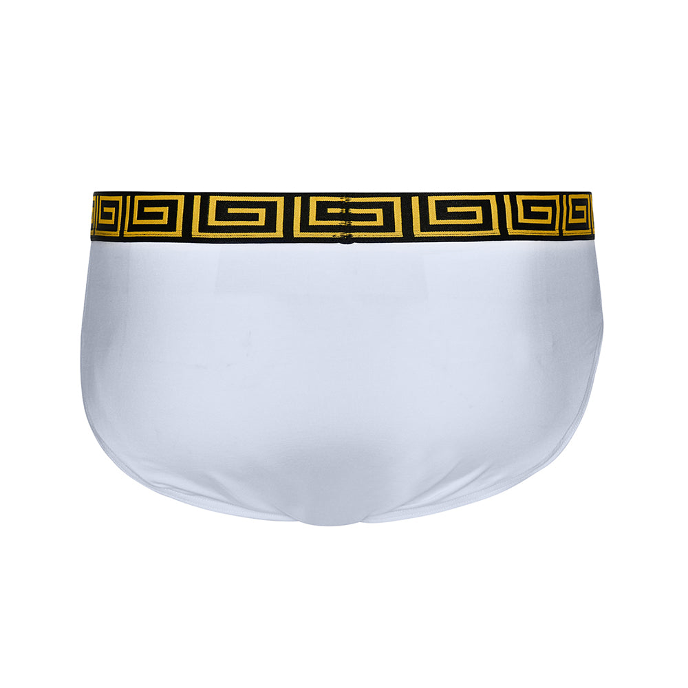 SHEATH Dual Pouch Euro Briefs | Modal Fabric, Classic Style & Superior Support