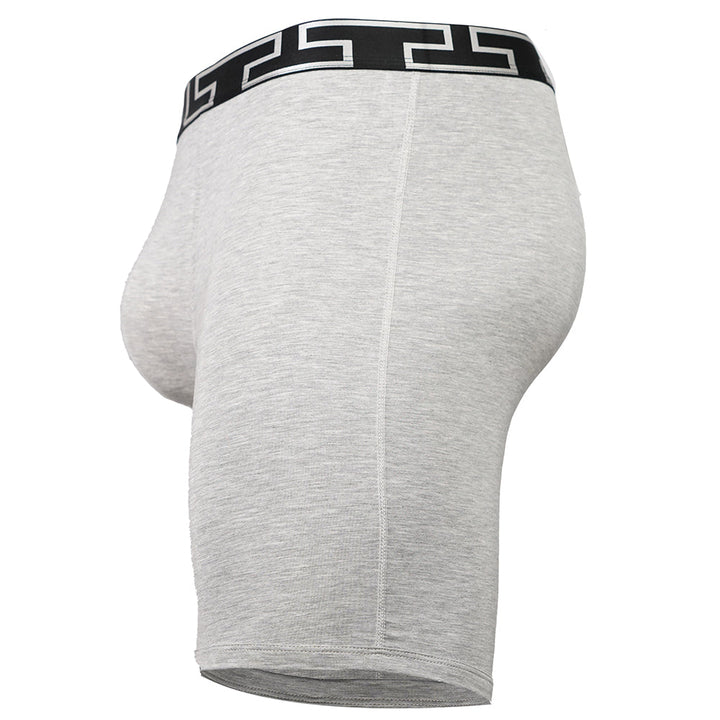 SHEATH V Bamboo Titan 8" Boxer Brief | Dual Pouch Sports Performance Underwear