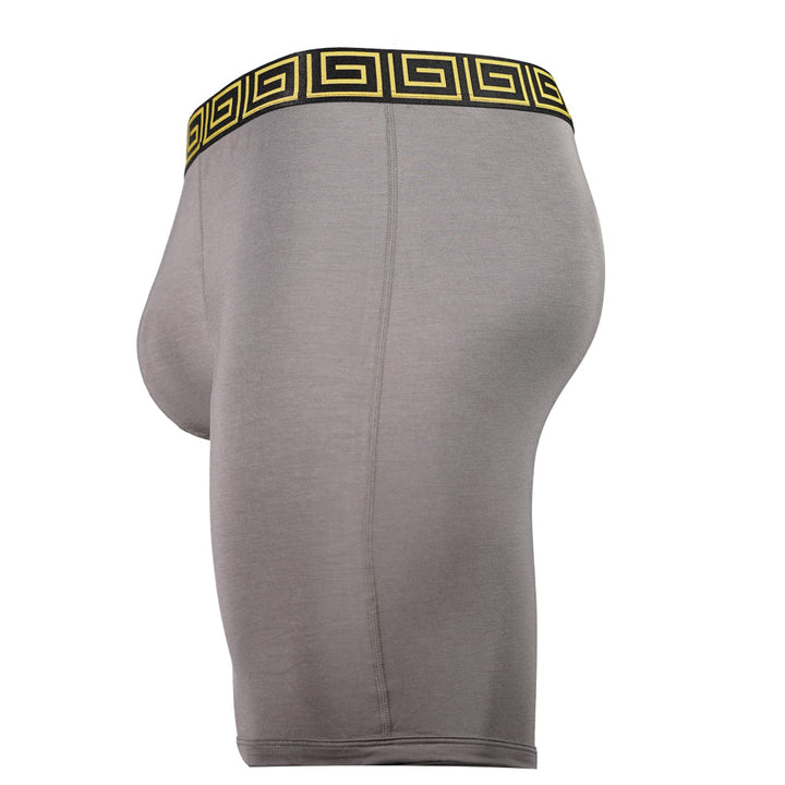 SHEATH V 8" Sports Performance Boxer Brief | Dual Pouch, Long Leg, Endurance Support