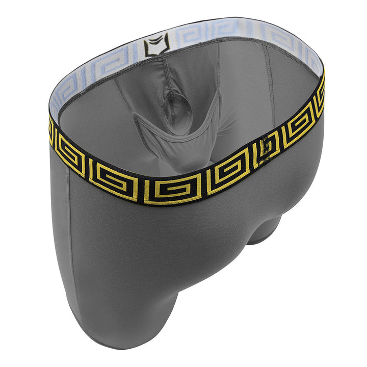 SHEATH V 8" Sports Performance Boxer Brief | Dual Pouch, Long Leg, Endurance Support