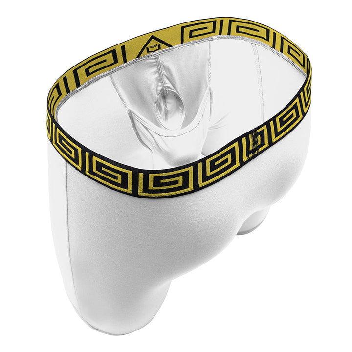 SHEATH V 8" Sports Performance Boxer Brief | Dual Pouch, Long Leg, Endurance Support