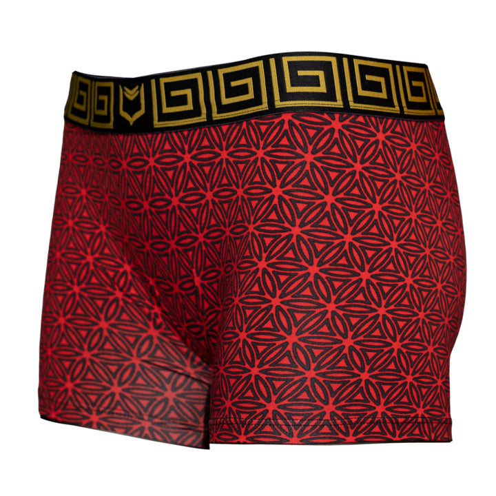 SHEATH Women's Modal Boxer Briefs – Soft Full Coverage Underwear