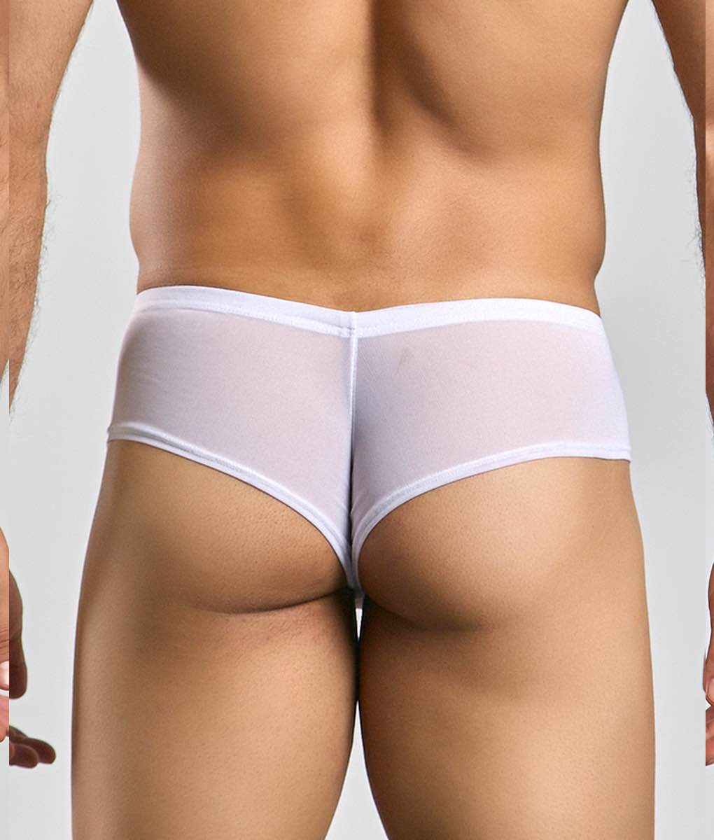 Justin + Simon Cheek Mesh Briefs | Men's Sheer Low-Rise Underwear