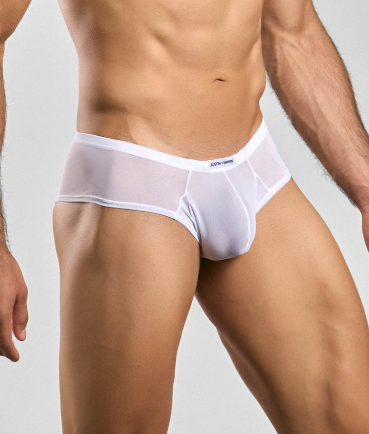 Justin + Simon Cheek Mesh Briefs | Men's Sheer Low-Rise Underwear
