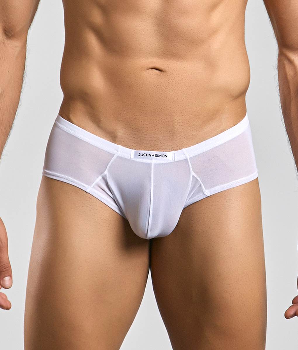 Justin + Simon Cheek Mesh Briefs | Men's Sheer Low-Rise Underwear