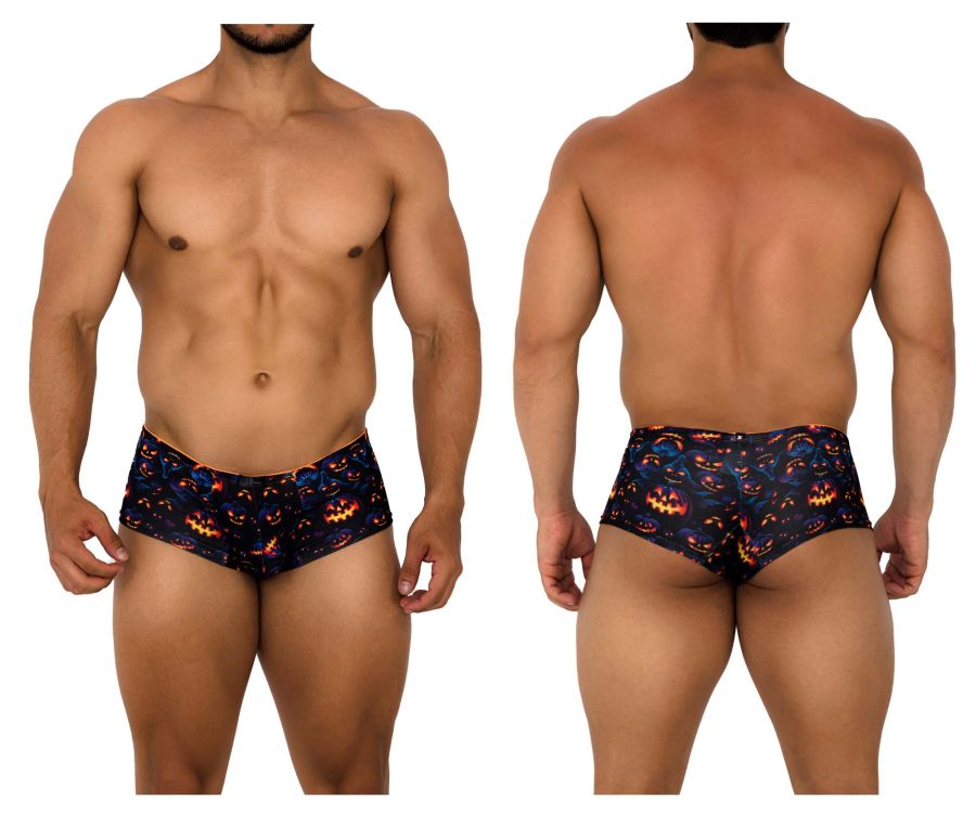 Xtremen Printed Trunks in Pumpkins Print – men's trunks