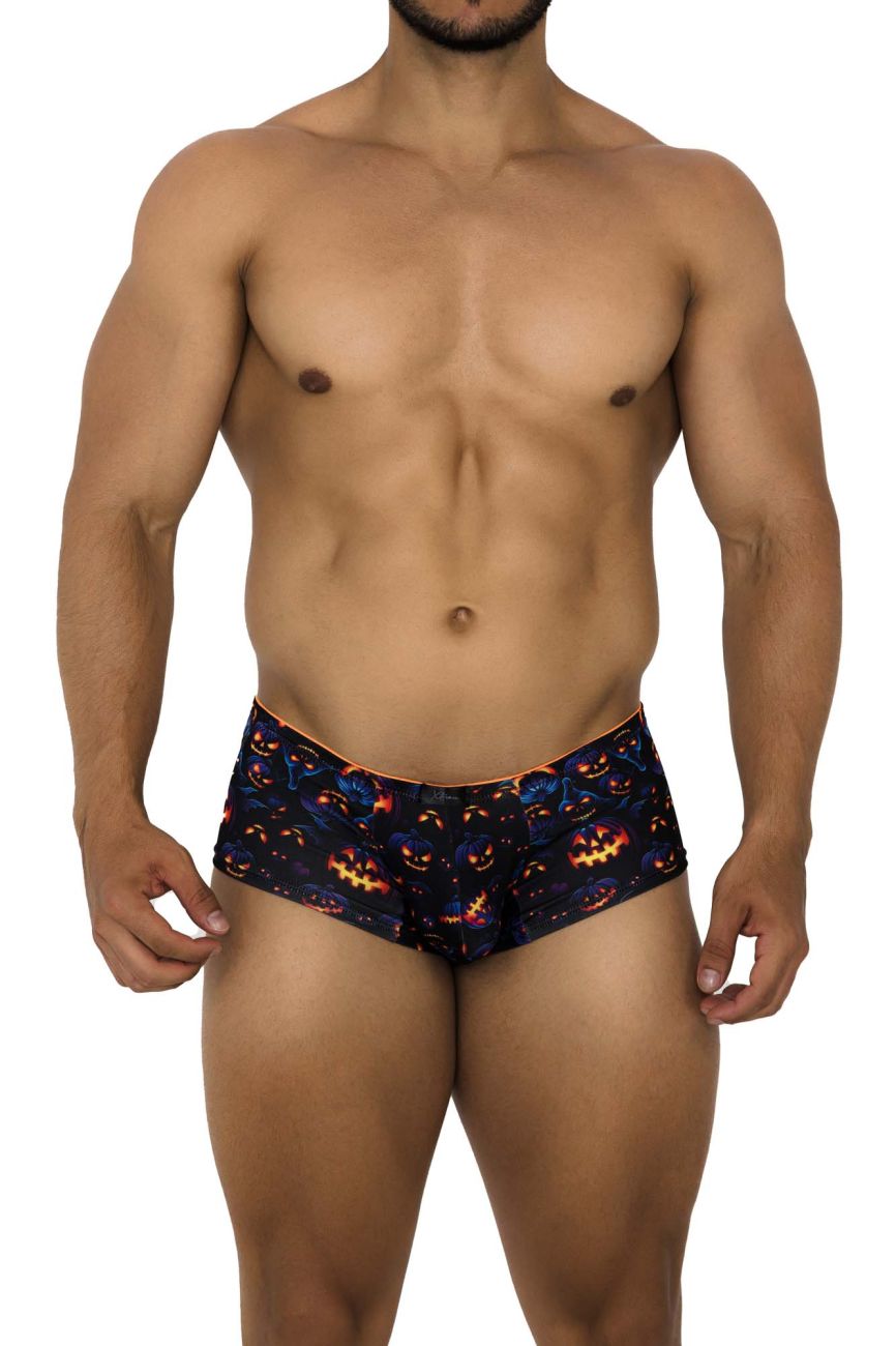 Xtremen Printed Trunks in Pumpkins Print – men's trunks