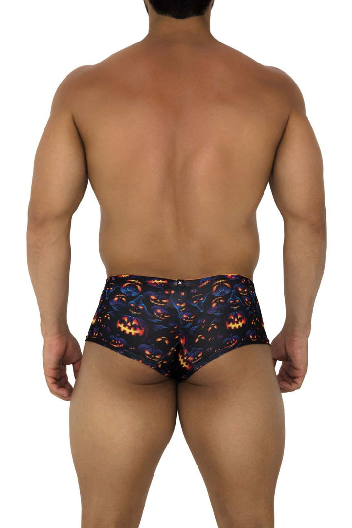 Xtremen Printed Trunks in Pumpkins Print – men's trunks