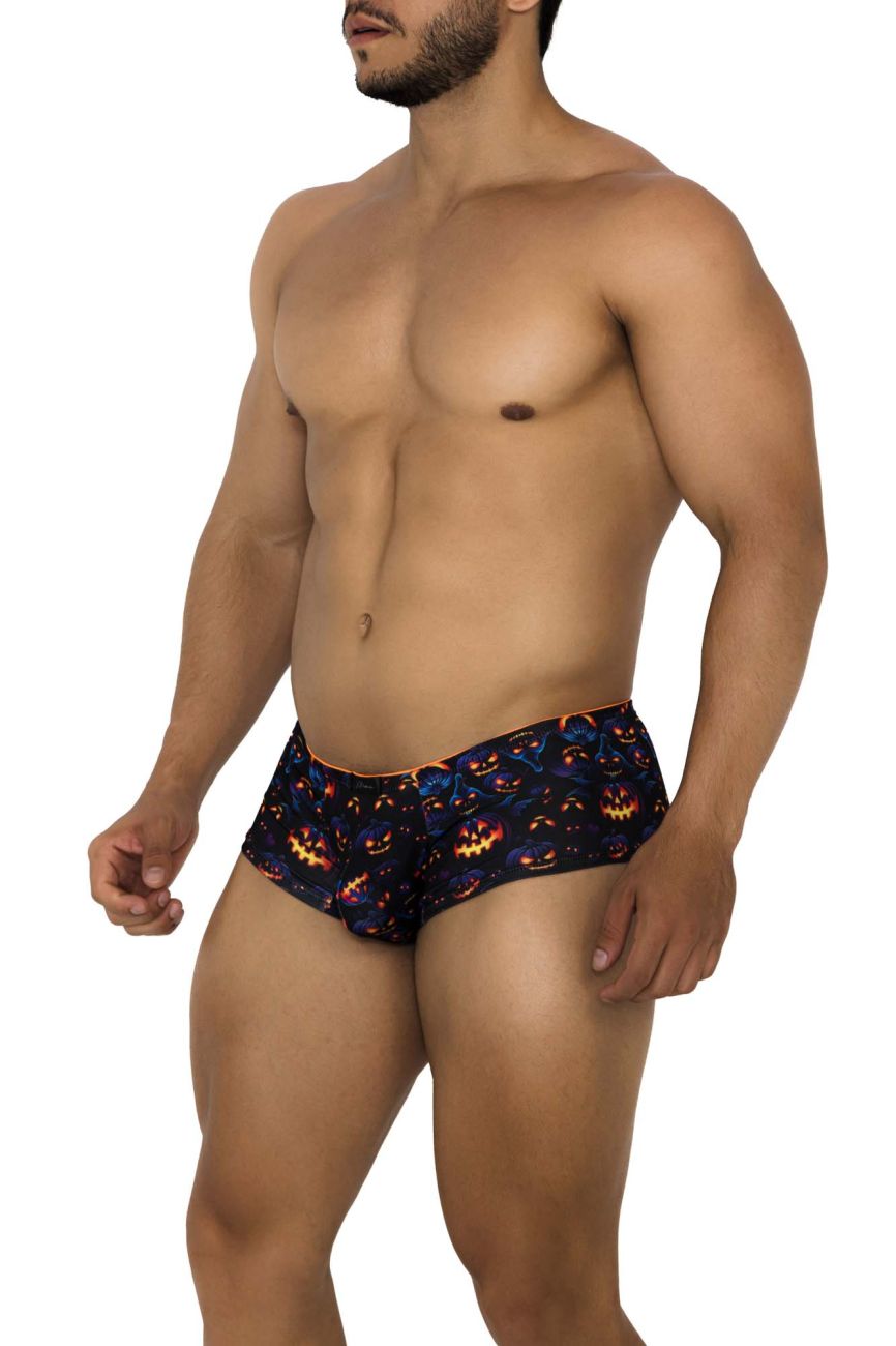Xtremen Printed Trunks in Pumpkins Print – men's trunks