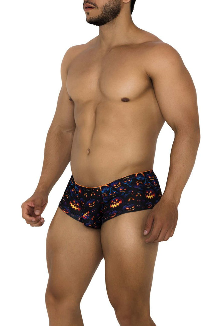 Xtremen Printed Trunks in Pumpkins Print – men's trunks
