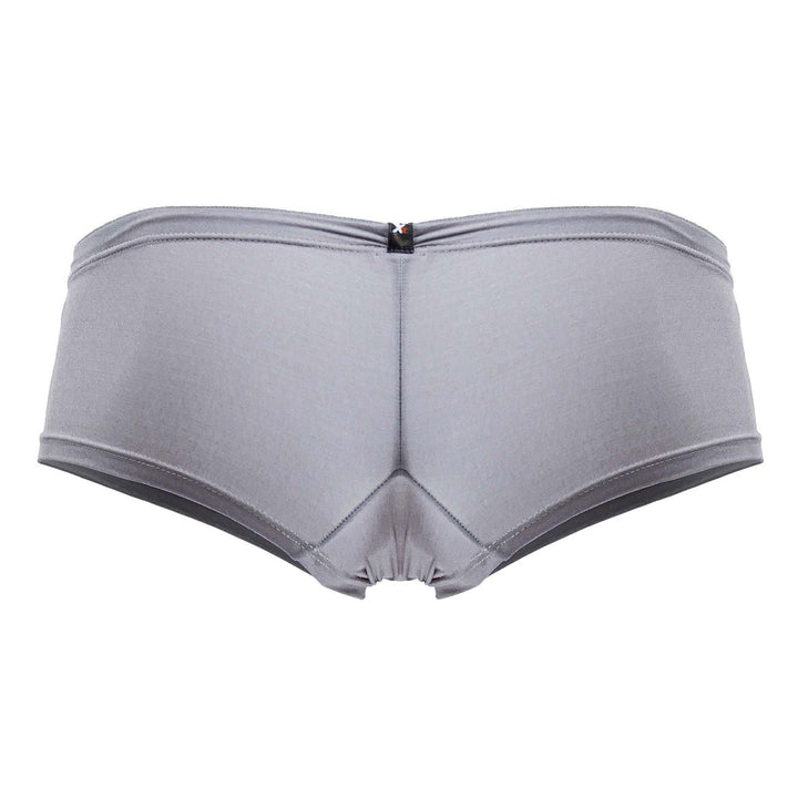 Xtremen Microfiber Trunks in Gray – men's trunks