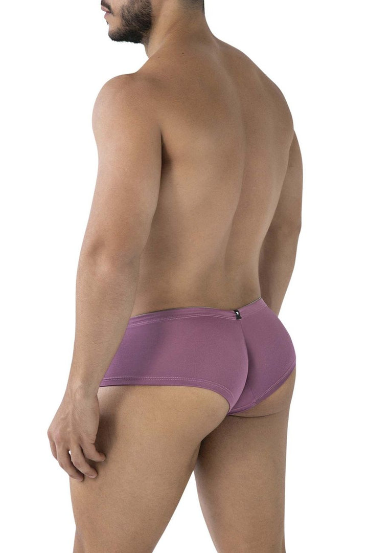 Xtremen Microfiber Men's Trunk Underwear in Blackberry – men's trunks