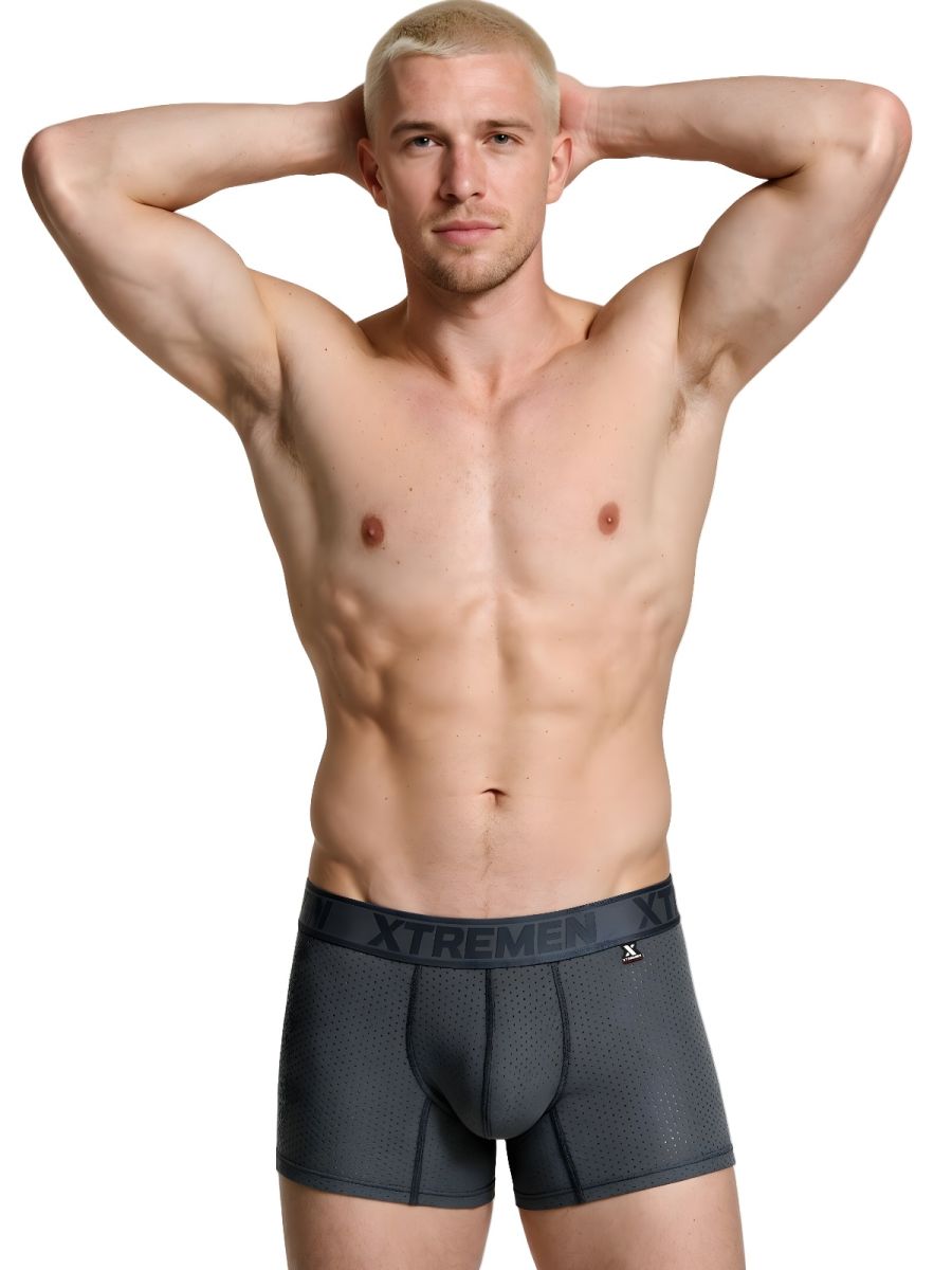 Xtremen Microfiber Mesh Men's Boxer Brief in Gray – men's boxer briefs