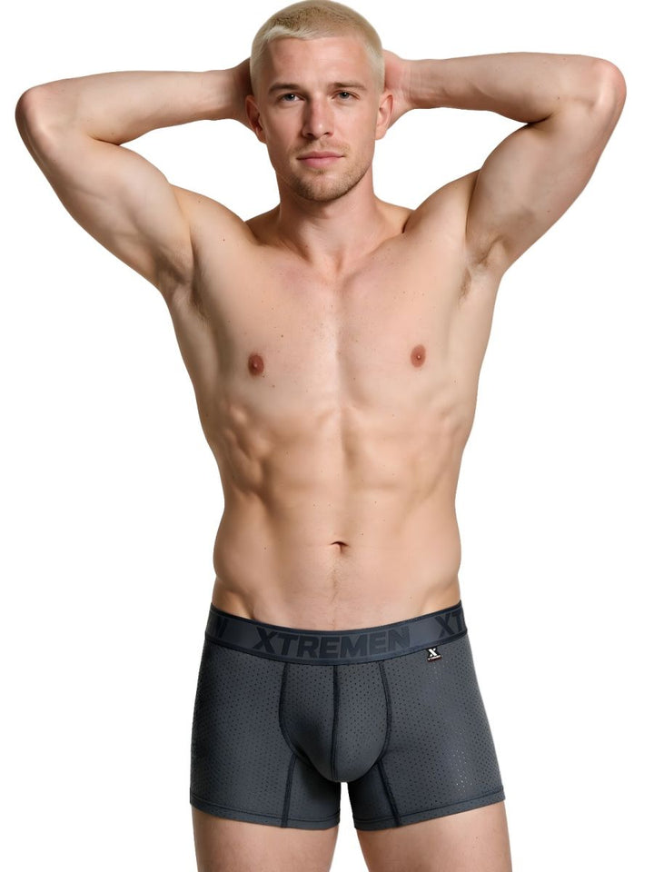Xtremen Microfiber Mesh Men's Boxer Brief in Gray – men's boxer briefs