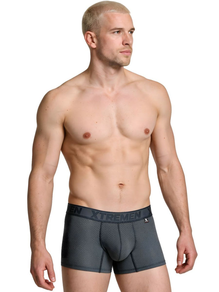 Xtremen Microfiber Mesh Men's Boxer Brief in Gray – men's boxer briefs