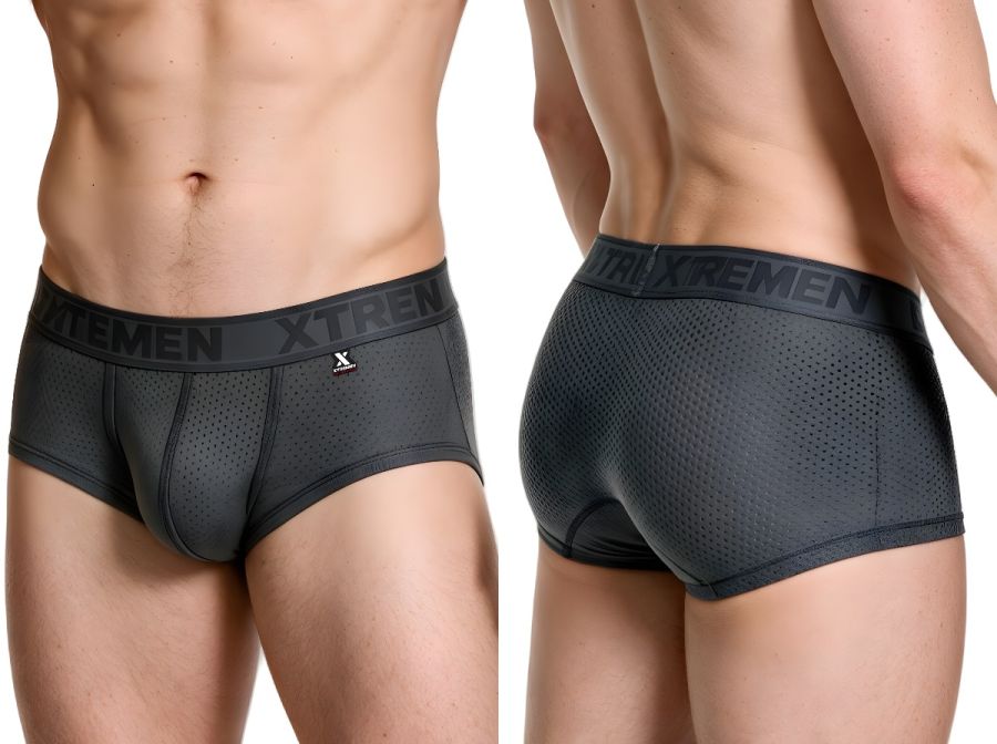 Xtremen Microfiber Mesh Men's Trunk Underwear in Gray – men's trunks