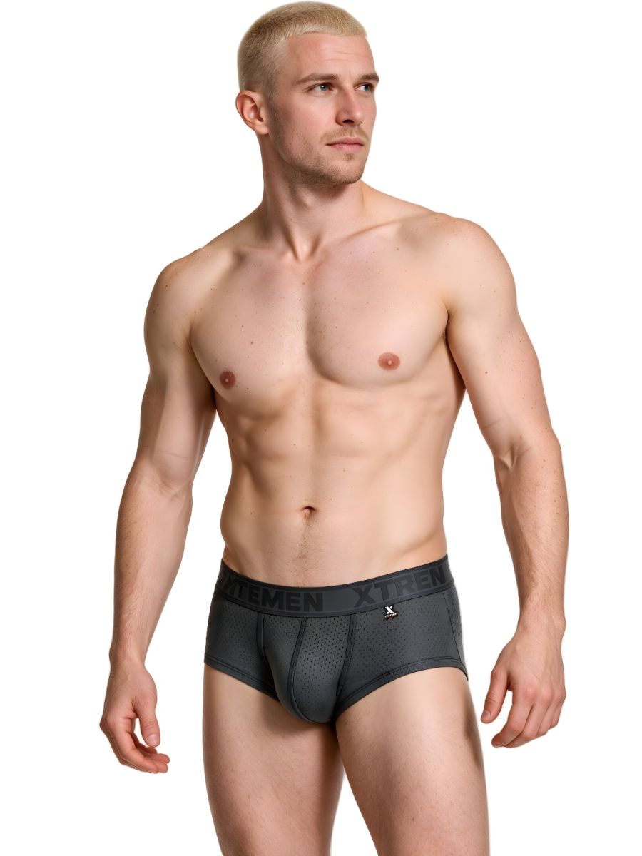 Xtremen Microfiber Mesh Men's Trunk Underwear in Gray – men's trunks