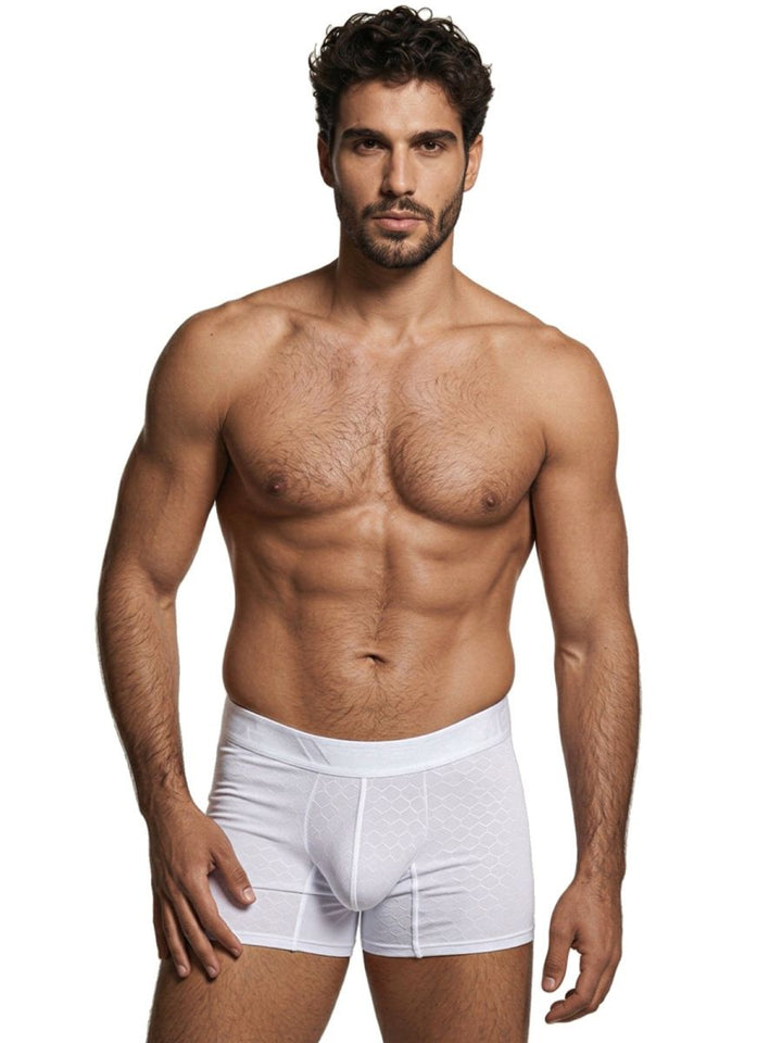 Xtremen Sleek Microfiber Men's Boxer Brief in White – men's boxer briefs