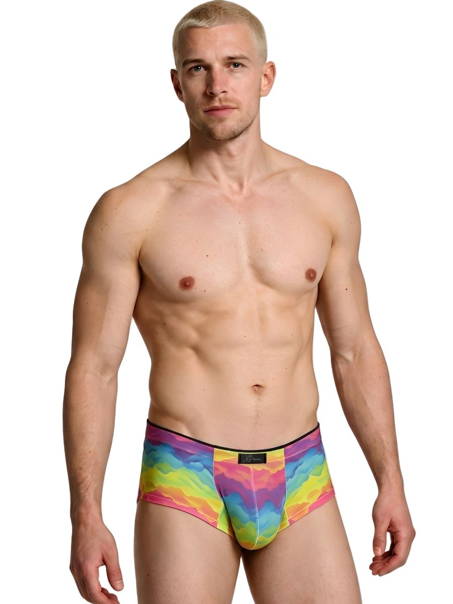 Xtremen Rainbow Microfiber Men's Bikini Brief in Cloud – men's briefs