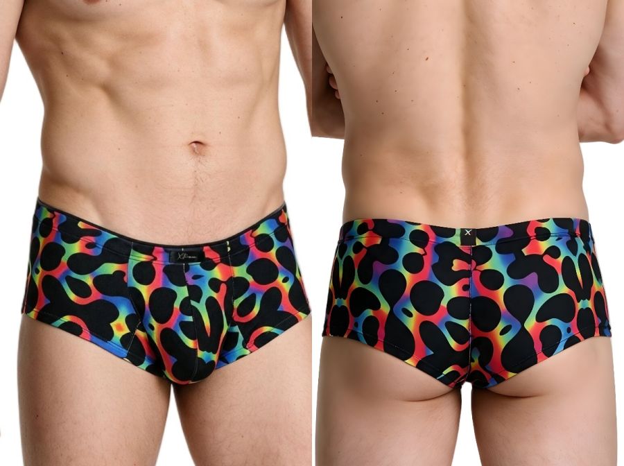 Xtremen Rainbow Microfiber Men's Bikini Brief in Mushroom – men's briefs