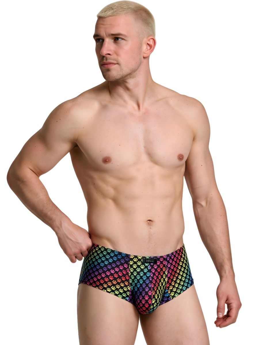 Xtremen Rainbow Microfiber Men's Bikini Brief in Paw Print – men's briefs