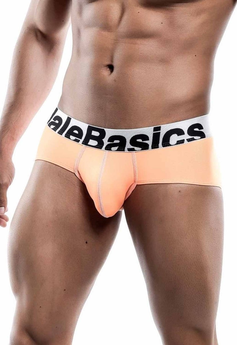 MaleBasics Men's Mesh Briefs – Breathable Athletic Low Rise Underwear with Supportive Pouch