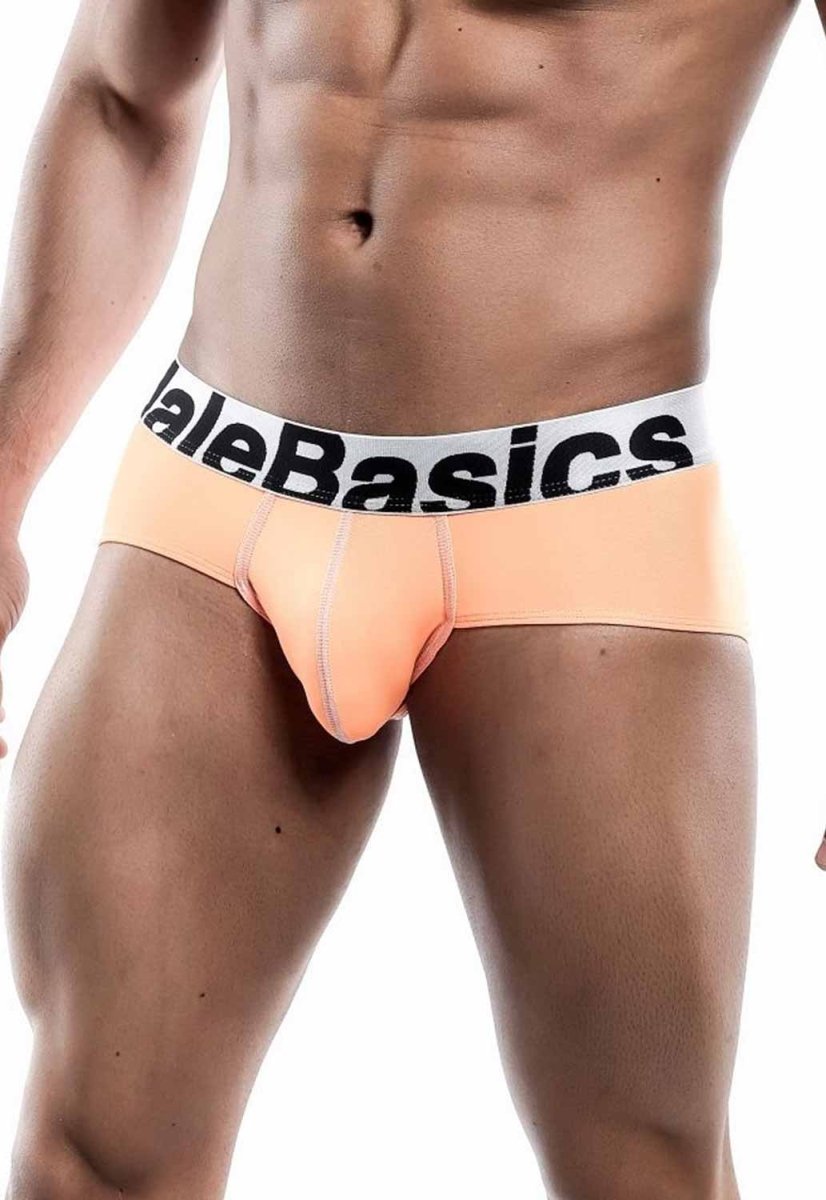 MaleBasics Men's Mesh Briefs – Breathable Athletic Low Rise Underwear with Supportive Pouch