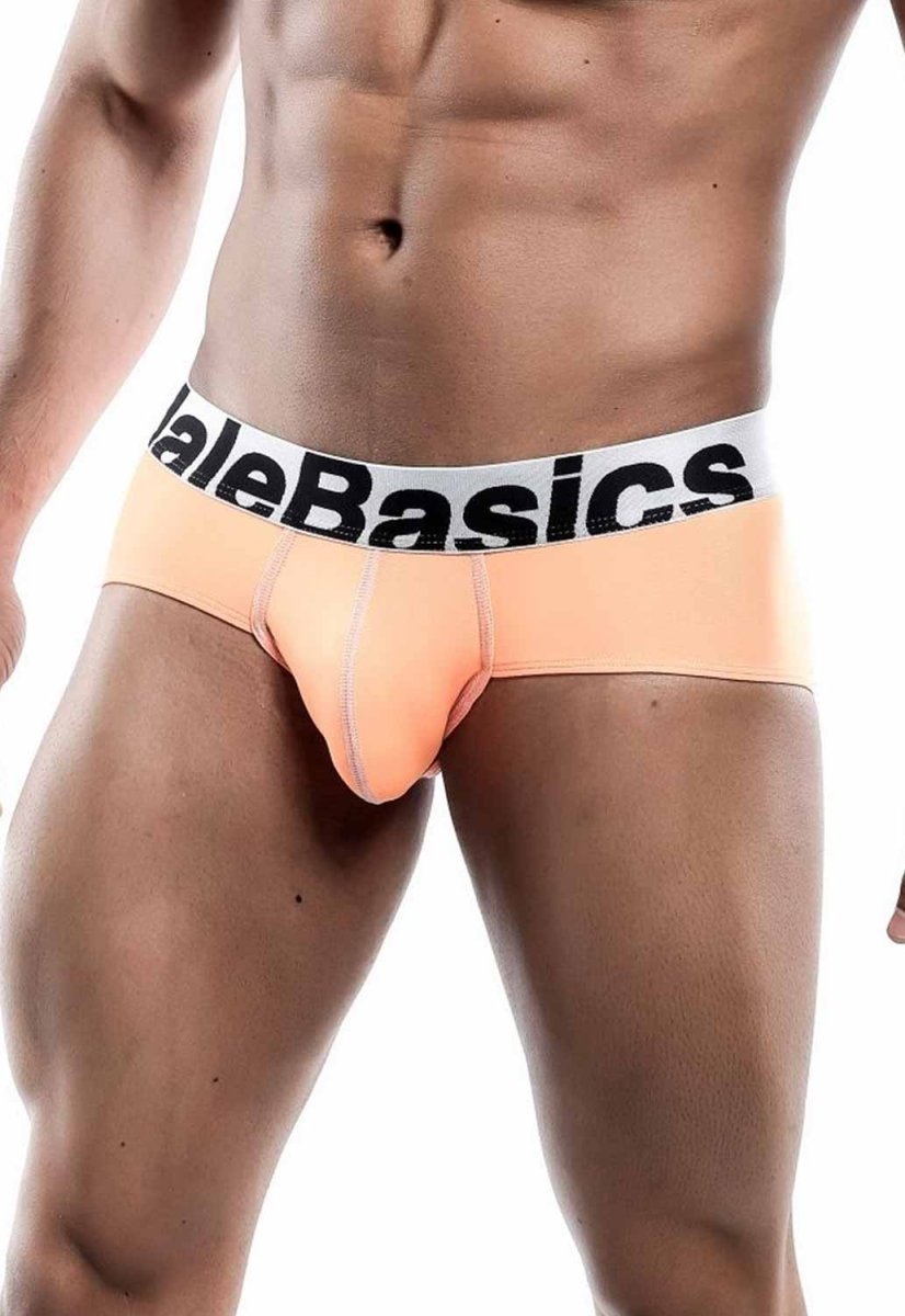 MaleBasics Men's Mesh Briefs – Breathable Athletic Low Rise Underwear with Supportive Pouch