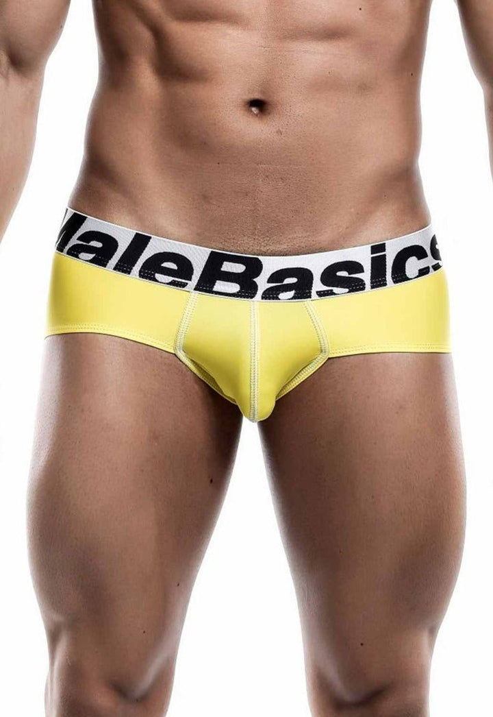 MaleBasics Men's Mesh Briefs – Breathable Athletic Low Rise Underwear with Supportive Pouch