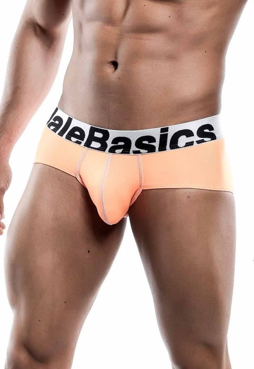 MaleBasics Men's Mesh Briefs – Breathable Athletic Low Rise Underwear with Supportive Pouch