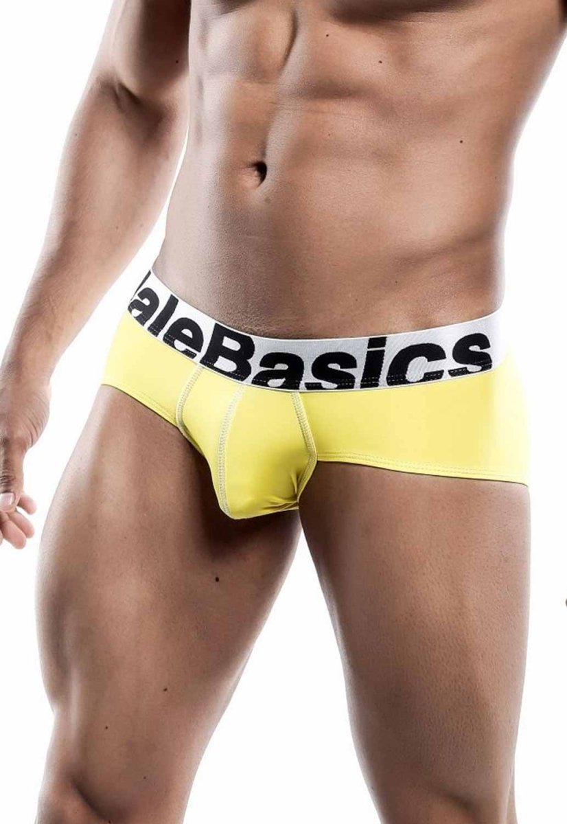 MaleBasics Men's Mesh Briefs – Breathable Athletic Low Rise Underwear with Supportive Pouch