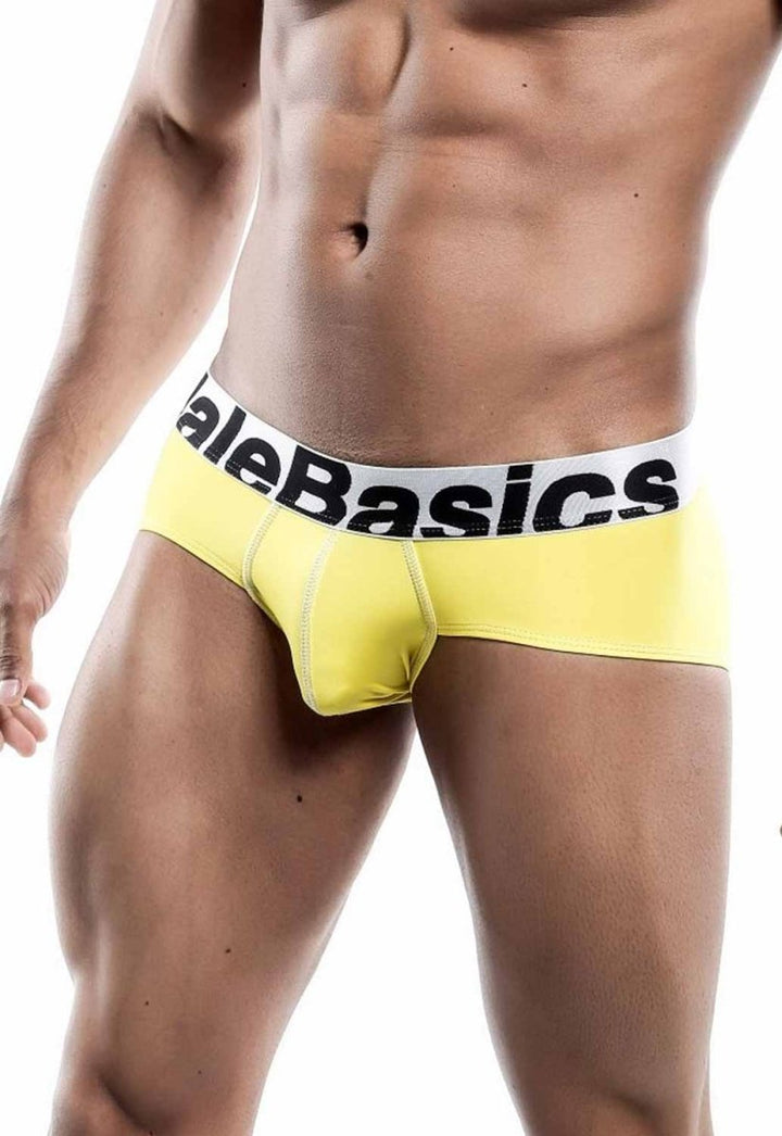 MaleBasics Men's Mesh Briefs – Breathable Athletic Low Rise Underwear with Supportive Pouch