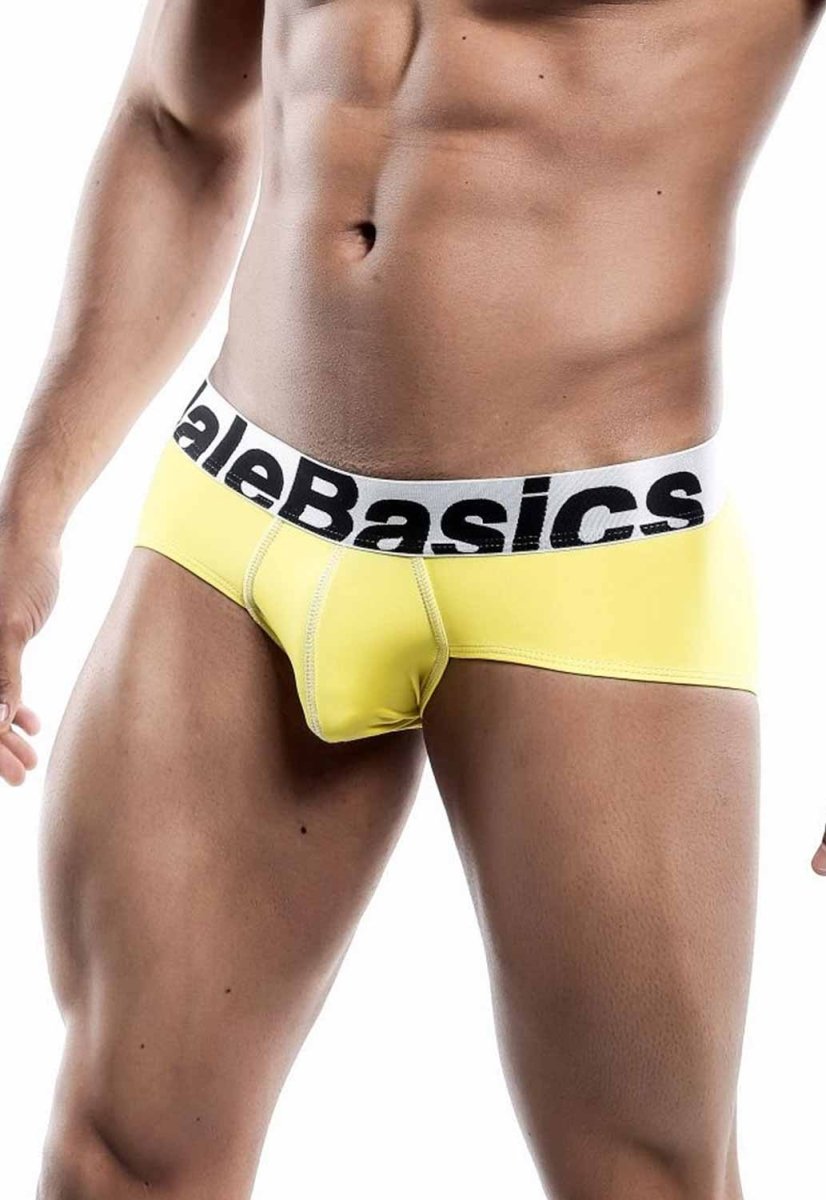MaleBasics Men's Mesh Briefs – Breathable Athletic Low Rise Underwear with Supportive Pouch