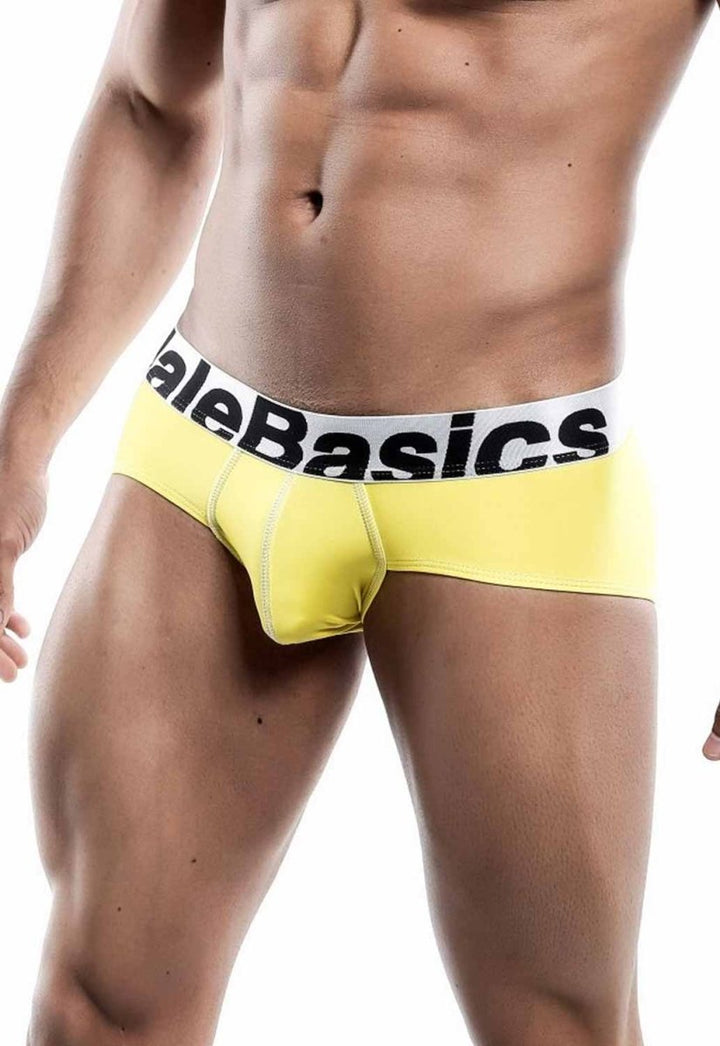 MaleBasics Men's Mesh Briefs – Breathable Athletic Low Rise Underwear with Supportive Pouch