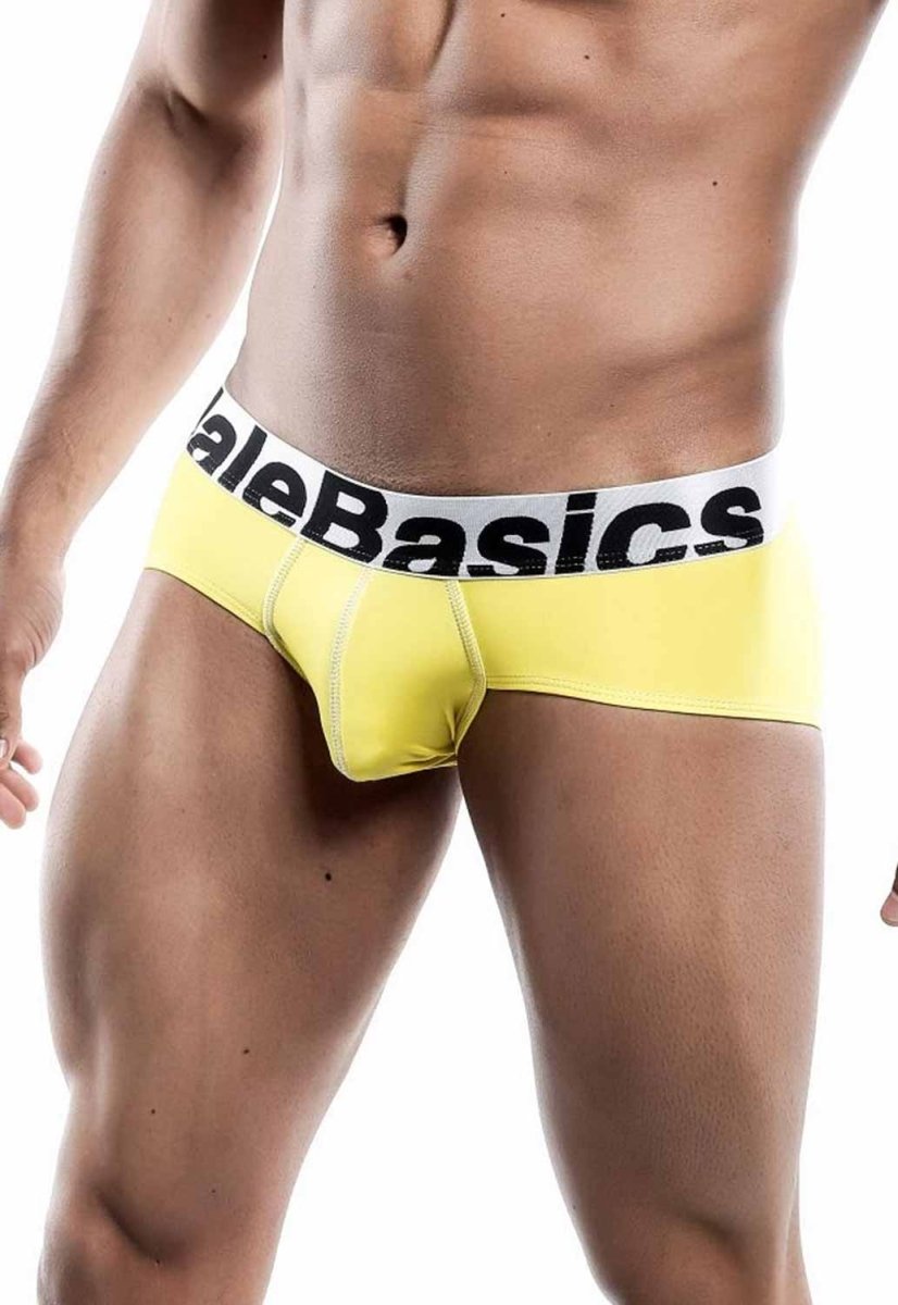 MaleBasics Men's Mesh Briefs – Breathable Athletic Low Rise Underwear with Supportive Pouch