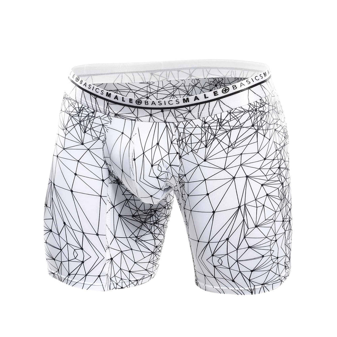Malebasics Spider Hipster Boxer Briefs - Microfiber & Lycra Blend