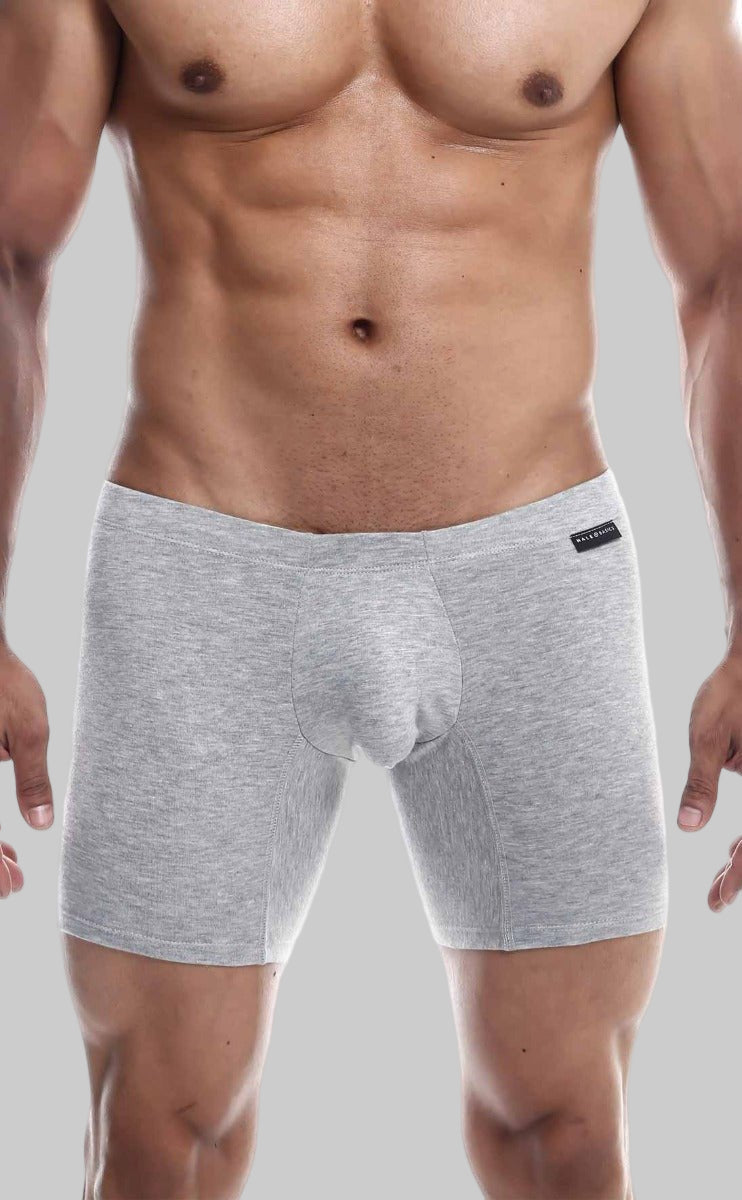 MaleBasics Silver+ Boxer Brief – Premium Pima Cotton-Rich Men's Underwear