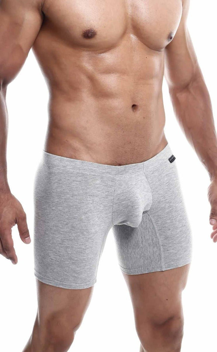 MaleBasics Silver+ Boxer Brief – Premium Pima Cotton-Rich Men's Underwear