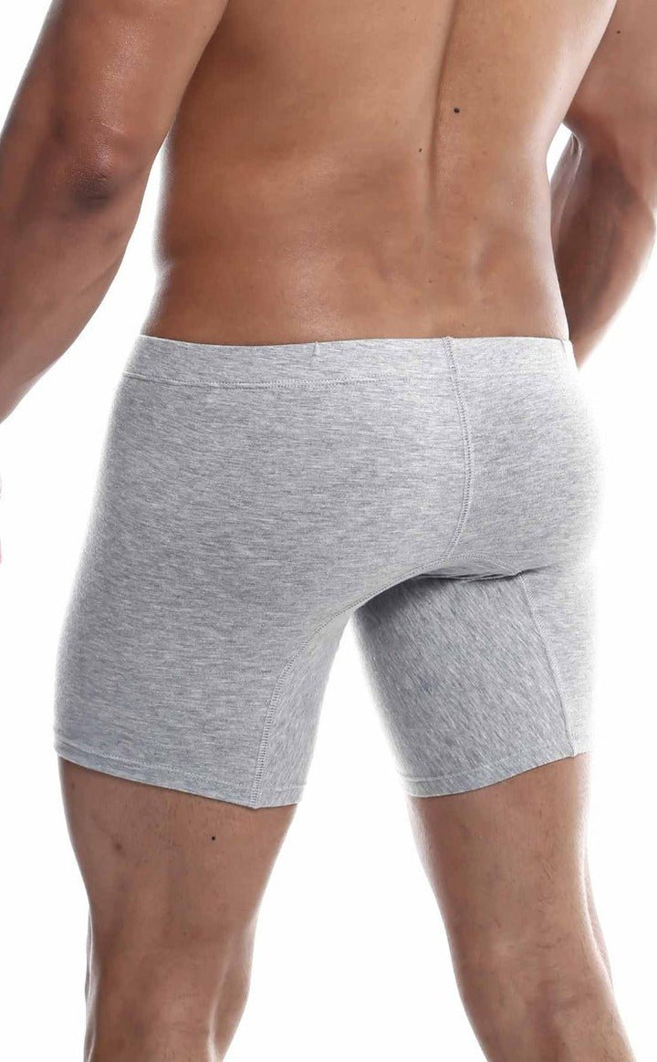 MaleBasics Silver+ Boxer Brief – Premium Pima Cotton-Rich Men's Underwear