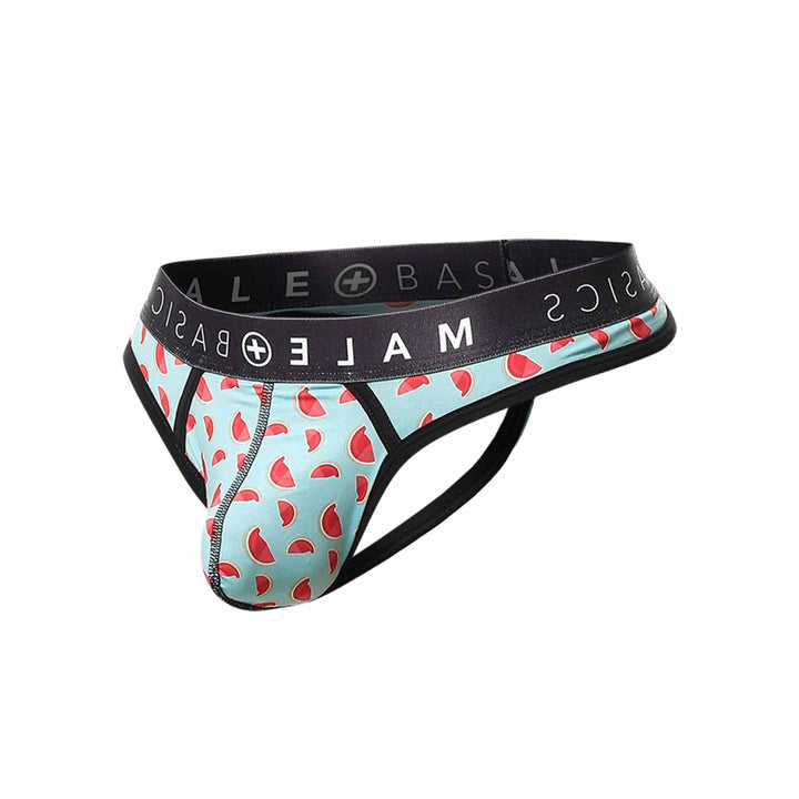 MaleBasics Sexy Pouch Thong Men's Thong – men's thongs