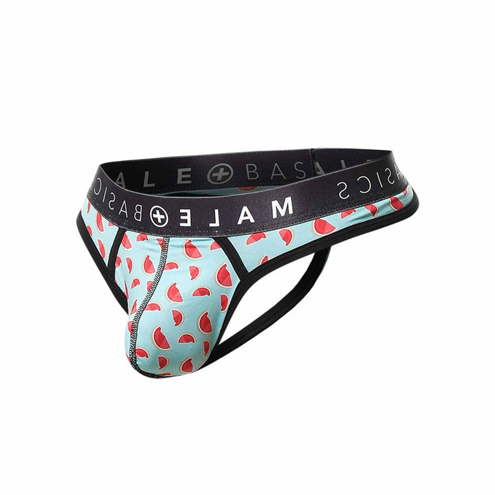 MaleBasics Sexy Pouch Thong Men's Thong – men's thongs