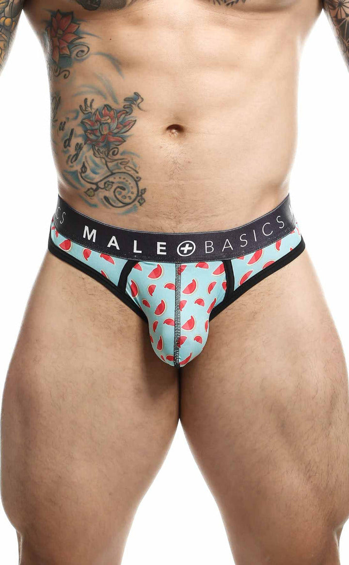 MaleBasics Sexy Pouch Thong Men's Thong – men's thongs