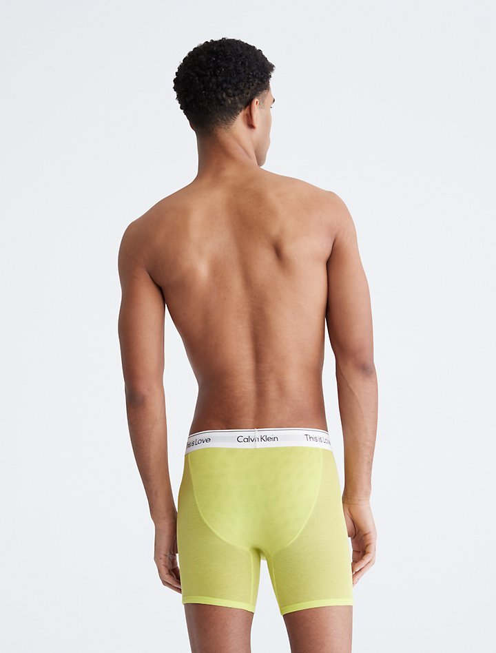 Calvin Klein Men's This Is Love Mesh Boxer Briefs